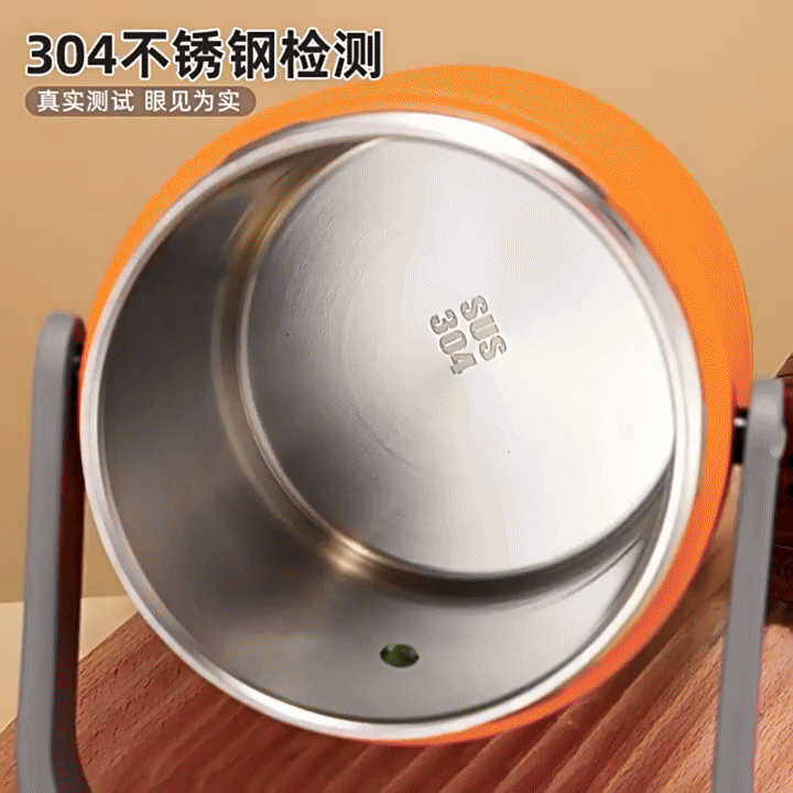Electric Lunch Box Food Warmer