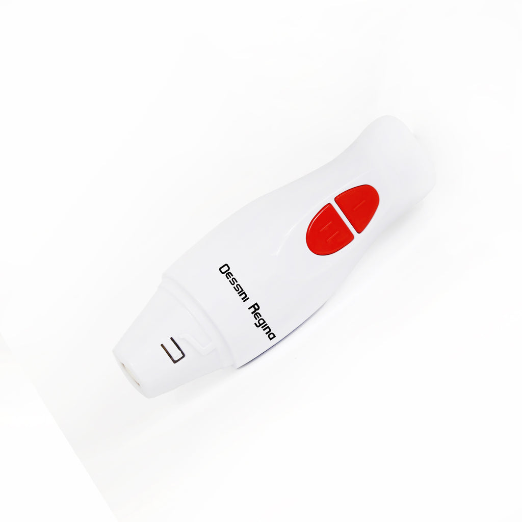 Dessini Regina - Hand Blender With Cup